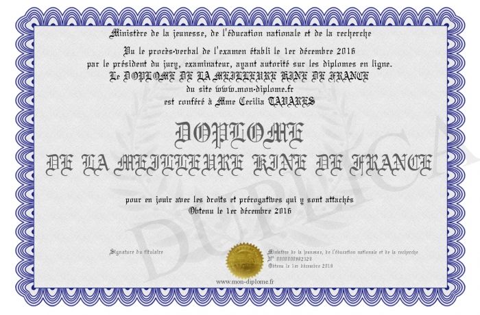 diplome kine france